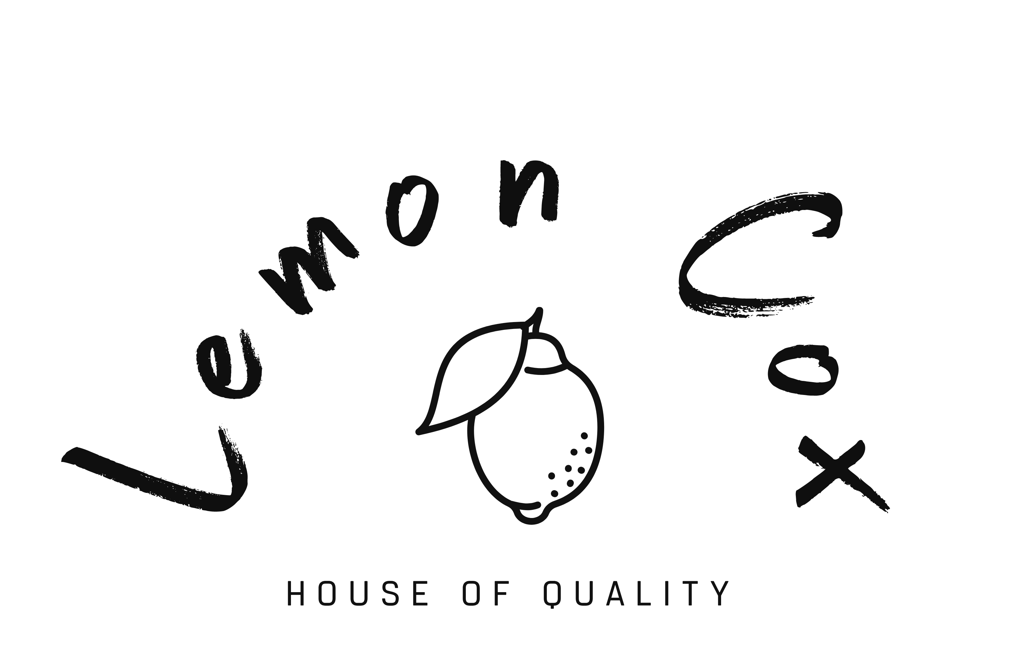 LC1 company logo